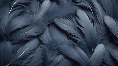 The primary subject of the image is a close-up of a black feather. The setting is a dark background, which contrasts with the black feather. The visual style is a close-up of a single feather, emphasizing its texture and details. The colors and mood are predominantly dark, with the black feather being the focal point of the image.