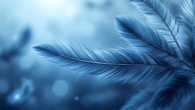 The primary subject of the image is a blue feather, which is the main object, scene, or focus of the image. The setting or background is a blue sky, and the visual style is a photo. The dominant colors and overall atmosphere are blue and serene.