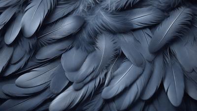 The primary subject of the image is a close-up of a bird's wing, showcasing its feathers. The setting is a black background, which emphasizes the feathers' details. The visual style is a photo, capturing the bird's wing in its natural state. The colors and mood of the image are predominantly dark, with the black background and the bird's wing being the main focus.