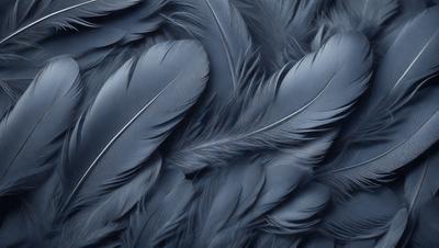 The primary subject of the image is a close-up of a black feather. The setting is a dark background, which contrasts with the feather, making it the focal point of the image. The visual style is a close-up of a single feather, emphasizing its texture and details. The colors are predominantly black, giving the image a moody and dramatic atmosphere.