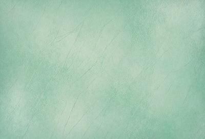 The primary subject of the image is a green wall with a textured surface. The setting is a room with a green wall, and the visual style is a close-up of the wall. The colors and mood of the image are predominantly green, creating a calm and soothing atmosphere.