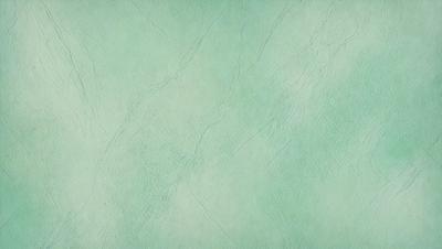 The primary subject of the image is a green wall with a textured surface. The setting is a room with a green wall, and the visual style is a close-up of the wall. The colors and mood of the image are predominantly green, creating a calm and soothing atmosphere.
