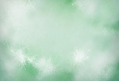 The primary subject of the image is a green background with white sparkles or fireworks. The setting appears to be a cloudy sky, and the visual style is a combination of a photo and digital art. The dominant colors are green and white, creating a lively and energetic atmosphere.