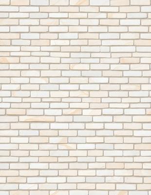 The primary subject of the image is a white brick wall. The setting is a plain white wall, with no visible background or environment. The visual style is a photo, showcasing the brick wall in detail. The colors and mood of the image are predominantly white, giving it a clean and minimalist appearance.