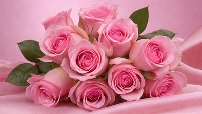 The primary subject of the image is a bouquet of pink roses. The setting is a pink background, which adds a warm and romantic atmosphere to the scene. The visual style is a close-up of the bouquet, showcasing the details of the flowers. The colors and mood of the image are predominantly pink, creating a sense of love and affection.