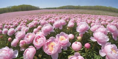 The primary subject of the image is a field of pink flowers, with a variety of pink and white flowers spread throughout the field. The setting is a lush green field, providing a vibrant and natural backdrop for the flowers. The visual style of the image is a photo, capturing the beauty of the flowers in their natural environment. The colors and mood of the image are predominantly pink and white, creating a serene and peaceful atmosphere.