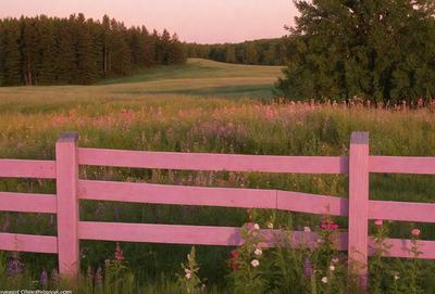 The primary subject of the image is a pink wooden fence. The setting is a lush green field with a grassy hillside and a forest in the background. The visual style is a photo, capturing the natural beauty of the scene. The colors and mood are predominantly warm and inviting, with the pink fence adding a touch of whimsy to the landscape.
