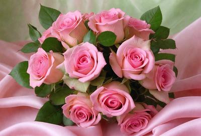 The primary subject of the image is a bouquet of pink roses. The setting is a pink background, which adds a soft and romantic touch to the scene. The visual style is a close-up of the bouquet, showcasing the details of the flowers. The colors and mood of the image are predominantly pink, creating a warm and inviting atmosphere.