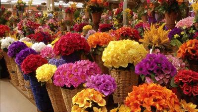 The primary subject of the image is a large display of colorful flowers in various pots. The flowers are arranged in a visually appealing manner, creating a vibrant and lively atmosphere. The setting is a market or a store, where the flowers are being sold. The visual style of the image is a photo, capturing the beauty and diversity of the flowers. The colors and mood of the image are predominantly warm and inviting, with the flowers providing a sense of freshness and natural beauty.