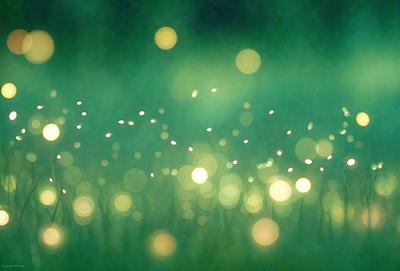 The primary subject of the image is a field of grass with a green hue. The setting is a lush green environment, and the visual style appears to be a photo. The colors and mood of the image are predominantly green, creating a serene and natural atmosphere.