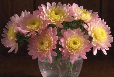 The primary subject of the image is a vase filled with pink and yellow flowers. The vase is placed on a wooden table, creating a warm and natural setting. The visual style of the image is a close-up of the vase, showcasing the beautiful flowers and their colors. The dominant colors in the image are pink and yellow, creating a cheerful and inviting atmosphere.