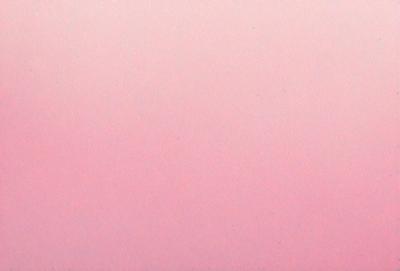 The primary subject of the image is a large, pink wall. The setting is a room with a pink background, and the visual style is a close-up of the wall. The colors and mood of the image are predominantly pink, creating a warm and inviting atmosphere.