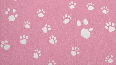 The primary subject of the image is a pattern of white paw prints on a pink background. The setting is a pink surface, which could be a wallpaper or a fabric. The visual style is a combination of digital art and illustration, creating a unique and eye-catching design. The colors and mood of the image are predominantly pink and white, giving it a warm and inviting atmosphere.