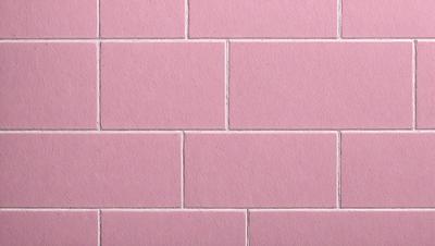 The primary subject of the image is a pink brick wall. The setting is a brick wall, and the visual style is a photo. The dominant colors are pink, and the overall atmosphere is warm and inviting.