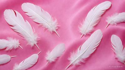 The primary subject of the image is a group of white feathers, which are the main objects in the scene. The feathers are arranged on a pink surface, creating a visually appealing contrast between the white feathers and the pink background. The visual style of the image is a close-up of the feathers, showcasing their details and textures. The colors and mood of the image are predominantly pink and white, giving it a soft and delicate appearance.