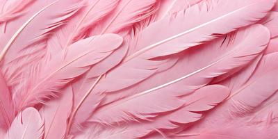 The primary subject of the image is a close-up of a pink feather. The setting is a pink background, which creates a visually striking contrast with the feather. The visual style is a realistic representation of the feather, showcasing its texture and details. The colors and mood of the image are predominantly pink, giving it a soft and delicate appearance.