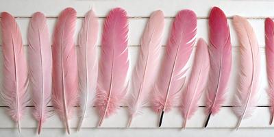 The primary subject of the image is a row of pink feathers. The feathers are arranged in a neat row, with each feather being slightly different in size and shape. The setting is a white surface, which provides a clean and uncluttered backdrop for the feathers. The visual style of the image is a close-up of the feathers, allowing the viewer to appreciate the details and textures of the pink feathers. The colors and mood of the image are predominantly pink, creating