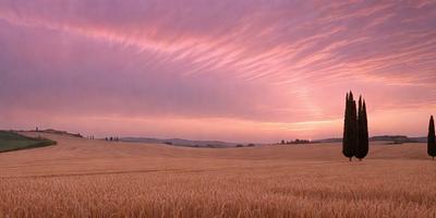 The image features a large field with a pink sky in the background. The field is filled with tall, dry grass, creating a sense of vastness and openness. The sky appears to be a mix of pink and purple hues, adding a serene and calming atmosphere to the scene. The overall visual style of the image is a combination of photo and digital art, with the grass and sky elements creating a natural and artistic representation of the landscape.
