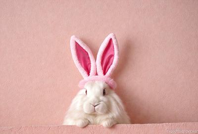The primary subject of the image is a white rabbit wearing a pink bunny hat. The rabbit is sitting on a pink surface, which serves as the setting for the scene. The visual style of the image is a photo, capturing the rabbit in a close-up shot. The dominant colors in the image are pink and white, creating a warm and friendly atmosphere.
