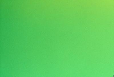 The primary subject of the image is a large, bright green wall. The setting is a room with a green background, which creates a vibrant and lively atmosphere. The visual style is a close-up of the green wall, showcasing its vivid color and texture. The colors and mood of the image are predominantly green, giving it a fresh and inviting appearance.