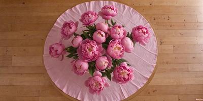 The primary subject of the image is a bouquet of pink flowers, which are the main focus of the scene. The flowers are arranged on a pink tablecloth, creating a visually appealing and warm atmosphere. The setting appears to be a dining table, with the flowers placed on a pink tablecloth, which adds a touch of elegance and sophistication to the scene. The visual style of the image is a close-up of the flowers, allowing the viewer to appreciate the details and beauty of