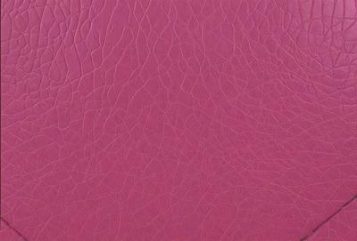 The primary subject of the image is a close-up of a pink leather surface. The setting is a room with a pink background. The visual style is a photo, and the colors and mood are predominantly pink, creating a warm and inviting atmosphere.