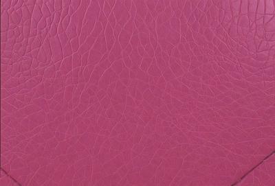 The primary subject of the image is a close-up of a pink leather surface. The setting is a room with a pink background. The visual style is a photo, and the colors and mood are predominantly pink, creating a warm and inviting atmosphere.