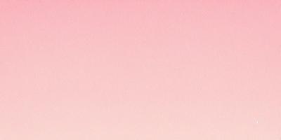 The primary subject of the image is a large, pink wall. The setting is a room with a pink background, and the visual style is a close-up of the wall. The colors and mood of the image are predominantly pink, creating a warm and inviting atmosphere.