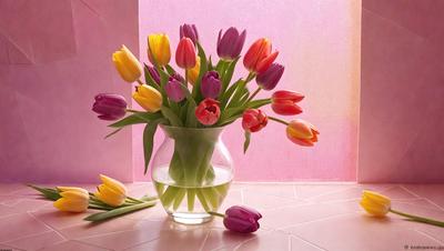 The primary subject of the image is a vase filled with a variety of colorful tulips. The vase is placed on a table, and the tulips are arranged in a visually appealing manner. The setting is indoors, with a pink wall in the background. The visual style of the image is a close-up of the vase and the flowers, showcasing the vibrant colors and details of the tulips. The overall atmosphere of the image is cheerful and lively, as