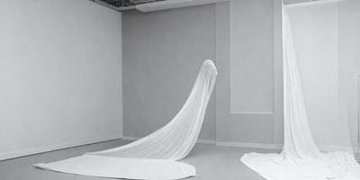 The primary subject of the image is a white sheet or curtain that is draped over a floor, creating a dramatic and mysterious atmosphere. The sheet appears to be floating or billowing, giving it a ghostly or ethereal quality. The setting is a room with a wall, and the visual style is a black and white photo, which adds to the timeless and classic feel of the scene. The colors and mood of the image are predominantly dark and moody, with the white sheet serving as