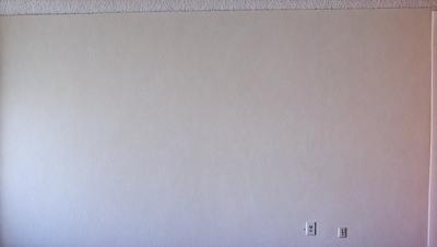 The image features a white wall with a power outlet on the right side. The wall appears to be empty, with no other objects or decorations visible. The primary subject is the wall, and the setting is indoors, likely in a room or a space with a power outlet. The visual style is a realistic representation of the wall and the power outlet. The colors and mood of the image are predominantly white, giving it a clean and minimalist appearance.