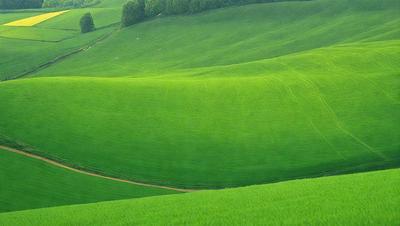 The image features a lush green field with a path running through it. The field is filled with grass, creating a serene and peaceful atmosphere. The path is surrounded by the vibrant green grass, which adds to the overall beauty of the scene. The visual style of the image is a photo, capturing the natural landscape and the path in detail.