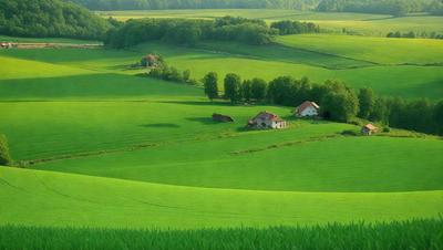 The primary subject of the image is a lush green field with a farmhouse and barns in the background. The setting is a rural countryside, and the visual style is a photo. The colors are predominantly green, and the overall atmosphere is serene and peaceful.