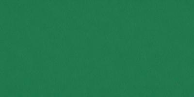 The primary subject of the image is a green background. The setting is a large, unoccupied space with no visible objects or people. The visual style is a close-up of the green background, which appears to be a textured surface. The colors and mood of the image are predominantly green, creating a calm and serene atmosphere.
