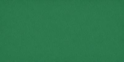 The primary subject of the image is a green background. The setting is a large, unoccupied space with a green surface. The visual style is a close-up of the green background, which gives a sense of depth and texture. The colors and mood of the image are predominantly green, creating a calm and serene atmosphere.