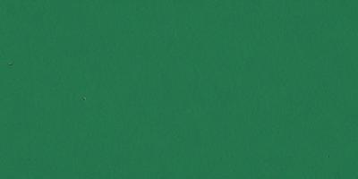 The primary subject of the image is a green background. The setting is a large, unoccupied space with no visible objects or people. The visual style is a close-up of the green background, which appears to be a piece of fabric or a wall. The colors and mood of the image are predominantly green, creating a calm and serene atmosphere.