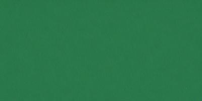 The primary subject of the image is a large, green surface. The setting is a plain, empty room with no visible objects or people. The visual style is a close-up of the green surface, which appears to be a piece of fabric or a wallpaper with a green color scheme. The colors and mood of the image are predominantly green, creating a calm and serene atmosphere.