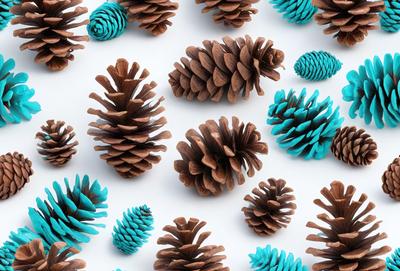 The primary subject of the image is a collection of pine cones, which are the main objects in the scene. The setting is a white background, and the visual style is a close-up of the pine cones. The colors and mood of the image are predominantly brown and blue, with the brown pine cones and the blue background creating a harmonious and natural atmosphere.