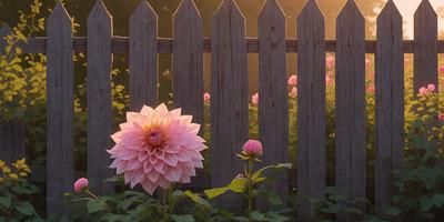 The primary subject of the image is a large pink flower, which is the main focus of the scene. The setting is a garden with a wooden fence in the background. The visual style of the image is a photo, capturing the beauty of the flower in its natural environment. The dominant colors in the image are pink and green, creating a serene and peaceful atmosphere.