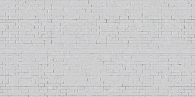 The primary subject of the image is a white brick wall. The setting is a plain white wall, with no visible background or environment. The visual style is a photo, showcasing the brick wall in detail. The colors and mood of the image are predominantly white, giving it a clean and minimalist appearance.