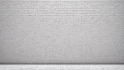 The primary subject of the image is a large white brick wall. The setting is a brick wall, and the visual style is a photo. The colors and mood of the image are predominantly white, giving it a clean and minimalist appearance.