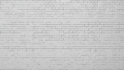 The primary subject of the image is a large white brick wall. The setting is a plain white wall, with no visible background or environment. The visual style is a photo, showcasing the brick wall in detail. The colors and mood of the image are predominantly white, giving it a clean and minimalist appearance.