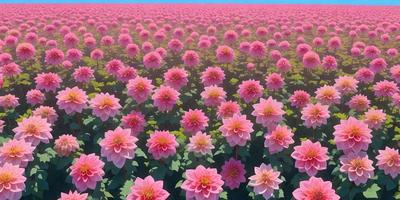 The primary subject of the image is a field of pink flowers. The setting is a grassy field with a pink flower garden. The visual style is a photo of the flower field. The colors and mood of the image are predominantly pink, creating a warm and inviting atmosphere.