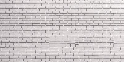 The primary subject of the image is a white brick wall. The setting is a plain white wall, with no visible background or environment. The visual style is a photo, showcasing the brick wall in detail. The colors and mood of the image are predominantly white, giving it a clean and minimalist appearance.