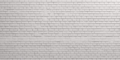 The primary subject of the image is a white brick wall. The setting is a brick wall, and the visual style is a photo. The dominant colors are white and grey, creating a clean and minimalist atmosphere.