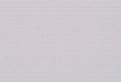 The image features a white brick wall, which is the primary subject. The setting is a brick wall, and the visual style is a photo. The colors and mood of the image are predominantly white, giving it a clean and minimalist appearance.