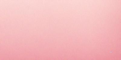 The primary subject of the image is a pink background. The setting is a blank, pink wall, which serves as the backdrop for the scene. The visual style of the image is a close-up of the pink wall, showcasing its color and texture. The dominant colors in the image are pink, and the overall atmosphere is soft and calming.