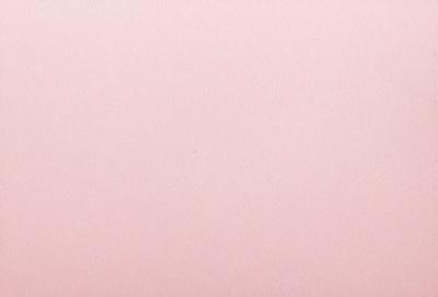 The primary subject of the image is a pink wall. The setting is a room with a pink wall, and the visual style is a close-up of the wall. The colors and mood of the image are predominantly pink, creating a warm and inviting atmosphere.