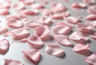 The primary subject of the image is a pink flower petal. The setting is a white surface, possibly a table or countertop. The visual style is a close-up of the flower petal, showcasing its details. The dominant colors are pink and white, creating a delicate and elegant atmosphere.