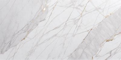 The primary subject of the image is a marble wall with a gold-colored border. The setting is a room with a white background. The visual style is a close-up of the marble wall, showcasing its texture and design. The colors and mood of the image are predominantly white and gold, giving it a luxurious and elegant appearance.